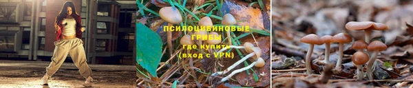 марки lsd Надым