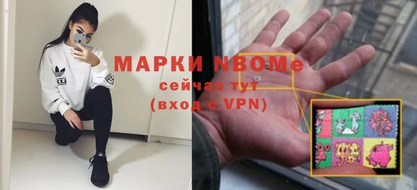 индика Наволоки