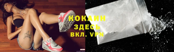индика Наволоки