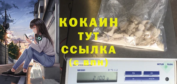 индика Наволоки